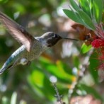 Talent Runs in a Family—You are Talented, Too